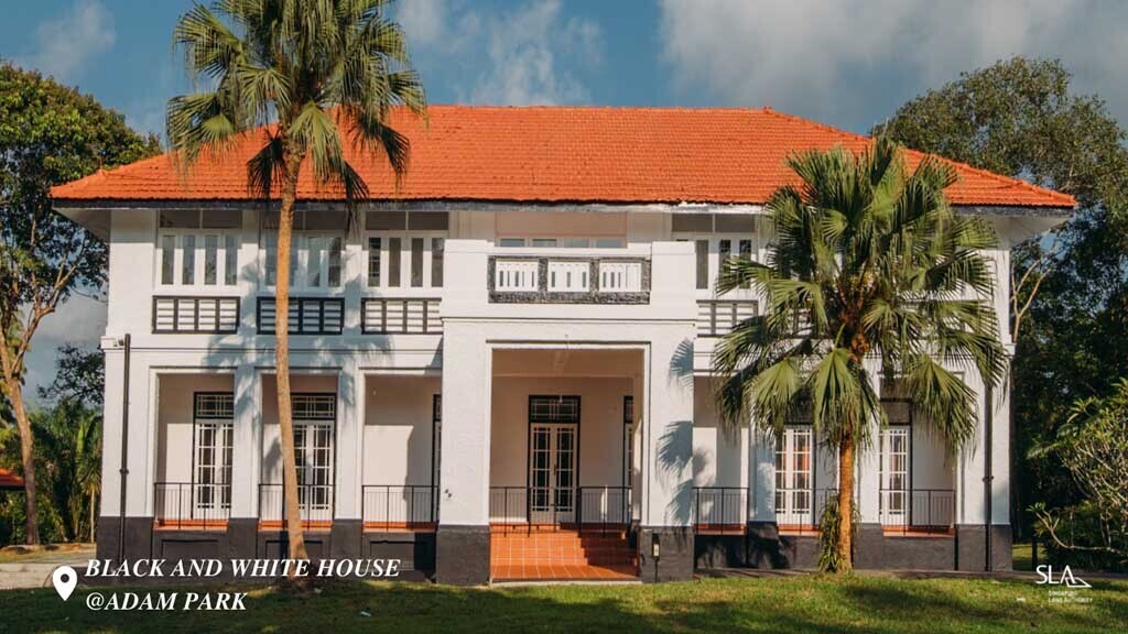 A Black and White House at Adam Park 2_TN.jpg